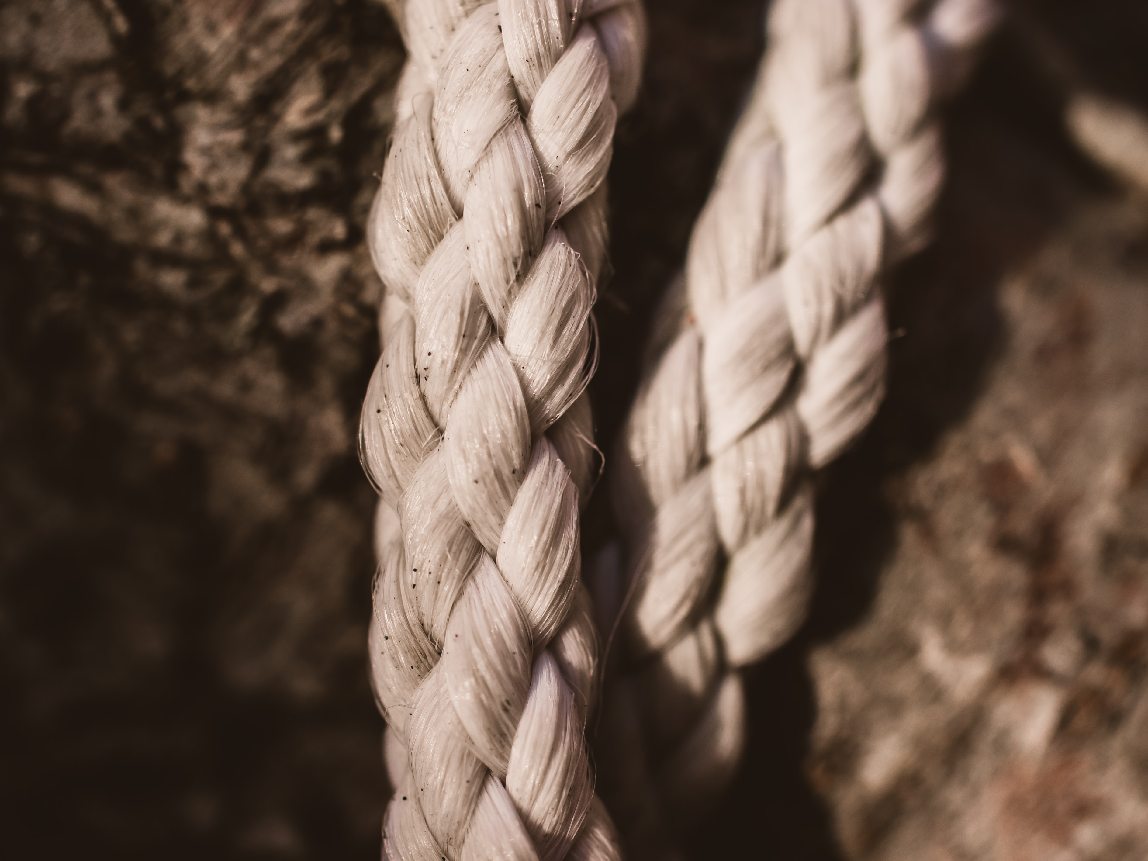 The Braided Essay – moving writers